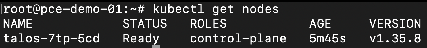 Terminal output of kubectl get nodes showing the control plane as Ready
