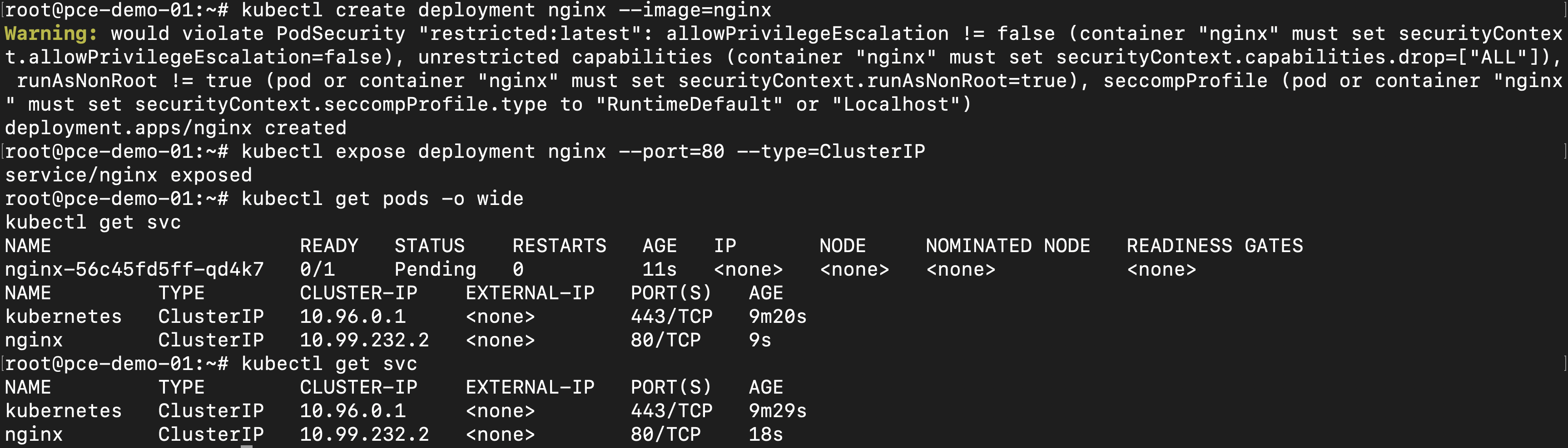 Terminal output of kubectl get pods and kubectl get svc showing the nginx pod and service