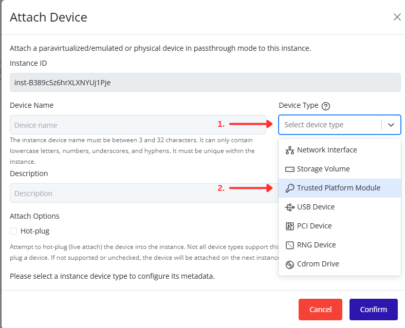 TPM Device Type Selection