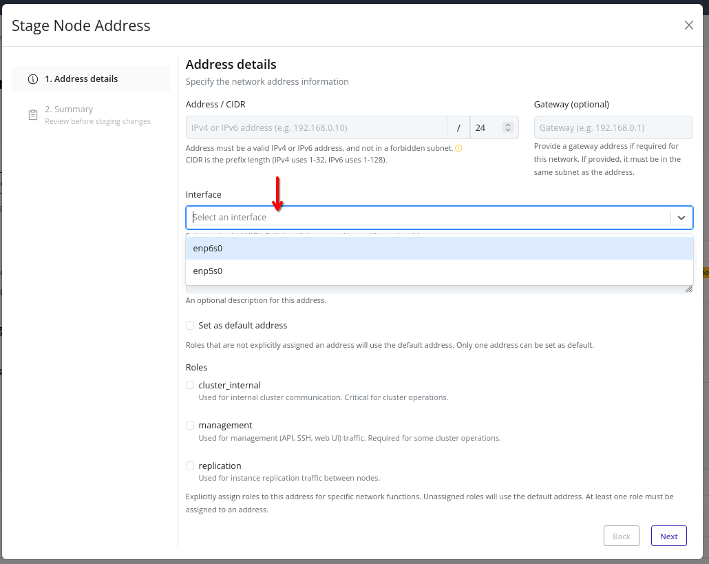 Dialog section to select a physical NIC